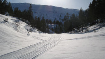 50 meter s&oslash;r for feltet